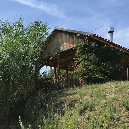 Casa Vesta Acomodação com café da manhã Castilenti Exterior foto